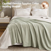 Madison Park Blanket
