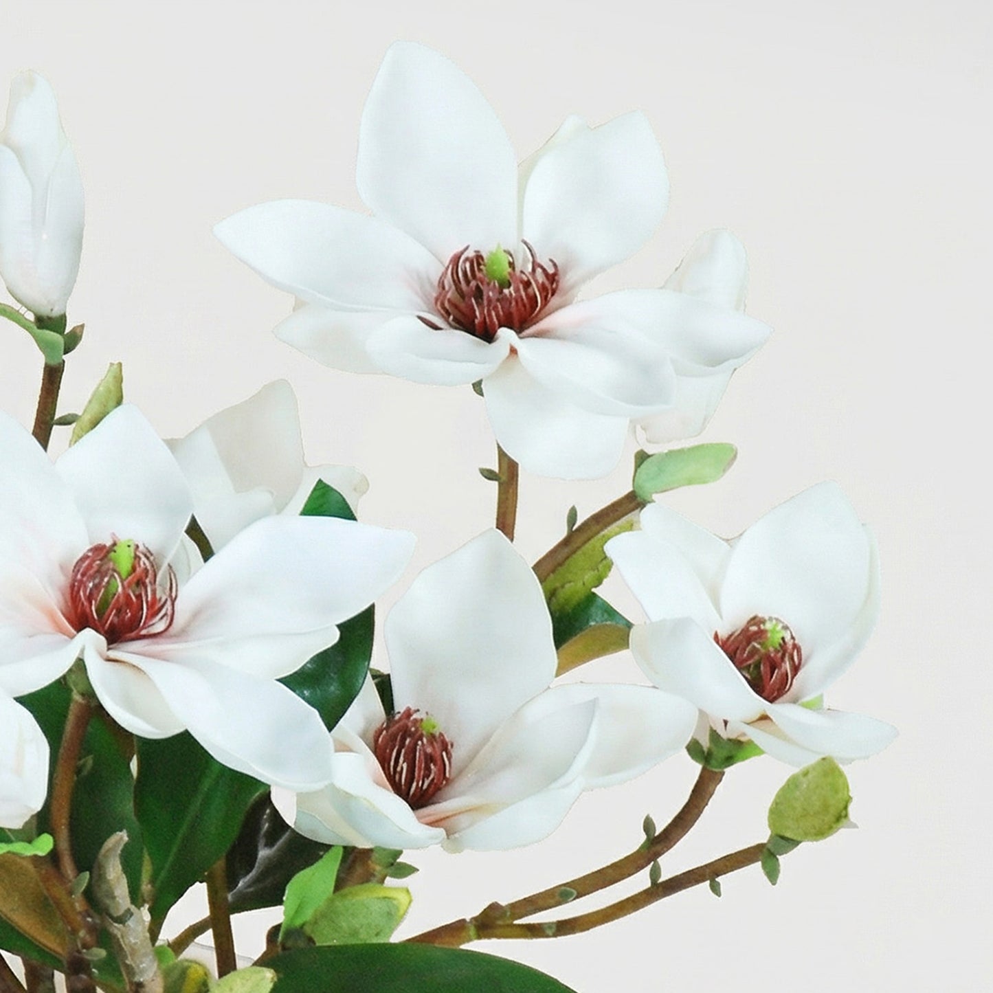 15-Inch Faux Magnolia & Foliage Arrangement in Glass Cube – White & Green