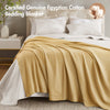 Madison Park Blanket