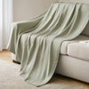 Madison Park Blanket