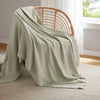Madison Park Blanket