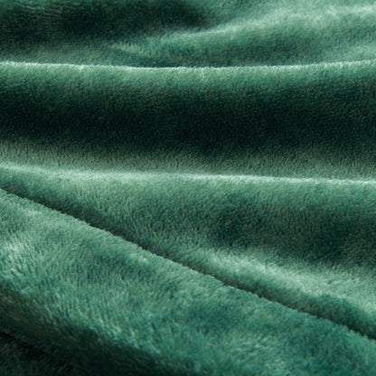 Beautyrest Heated Plush Blanket