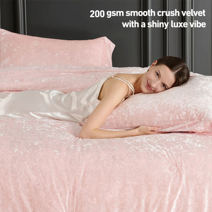 Regency Heights Juliette Velvet Comforter Set
