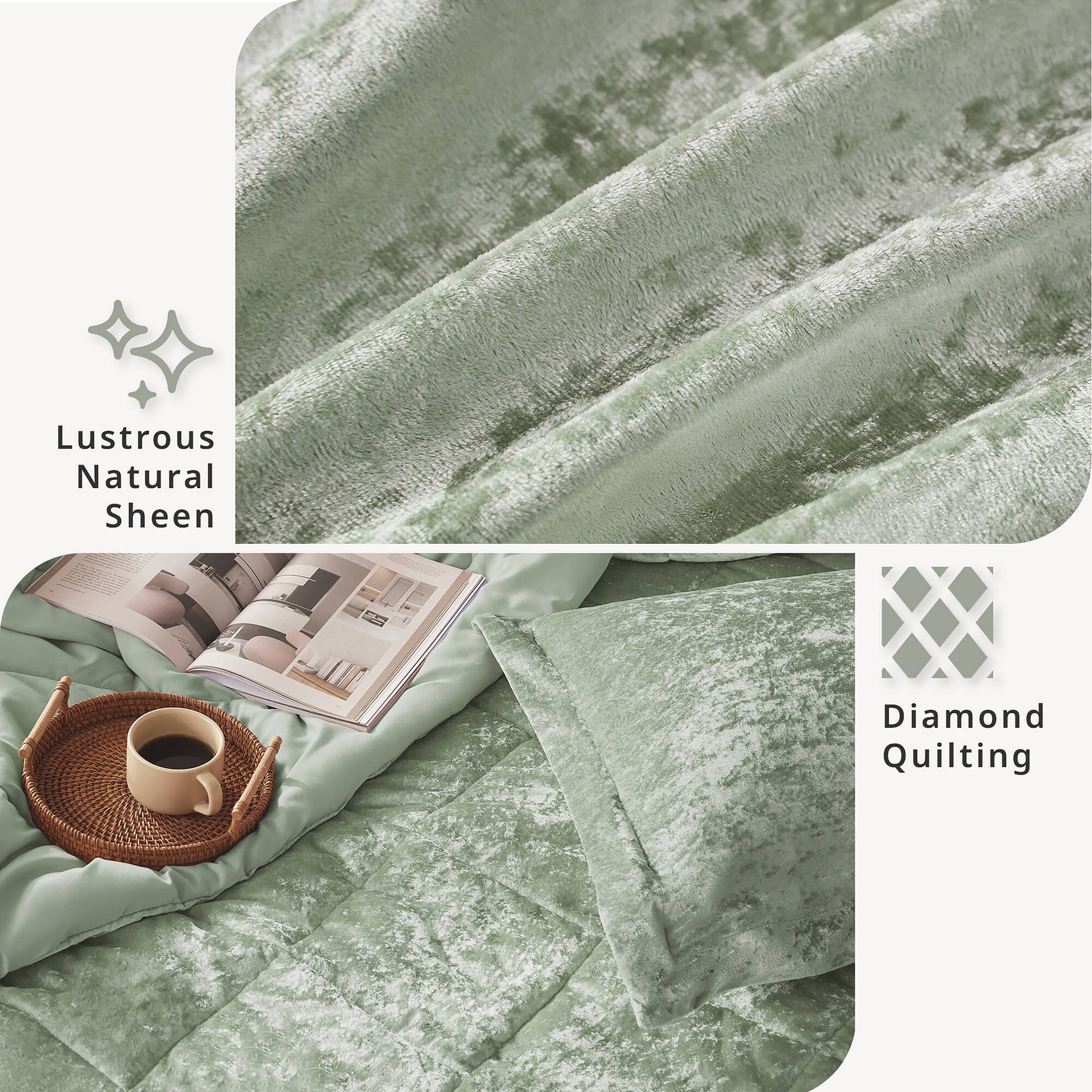 Intelligent Design Velvet Duvet Cover Set with Throw Pillow