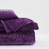 Intelligent Design Velvet Comforter Set with Throw Pillow