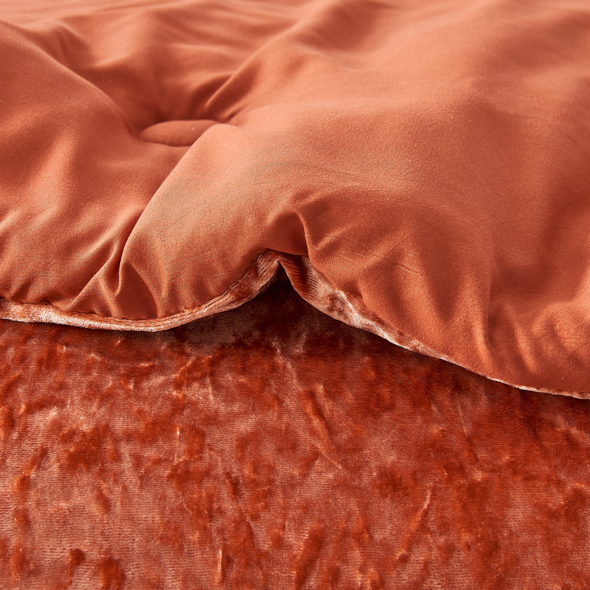 Regency Heights Juliana Velvet Comforter Set