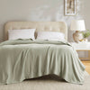Madison Park Blanket