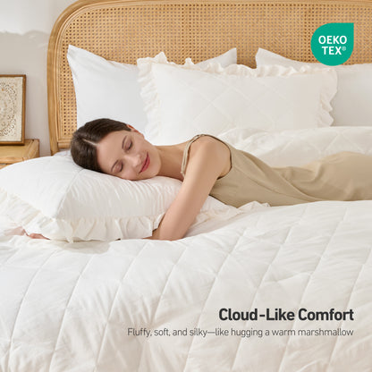 Regency Heights Phoebe Comforter Mini Set