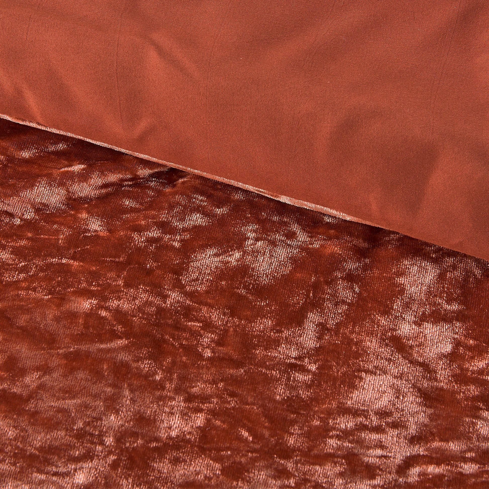 Regency Heights Juliana Comforter Set