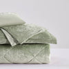 Intelligent Design Velvet Comforter Set with Throw Pillow