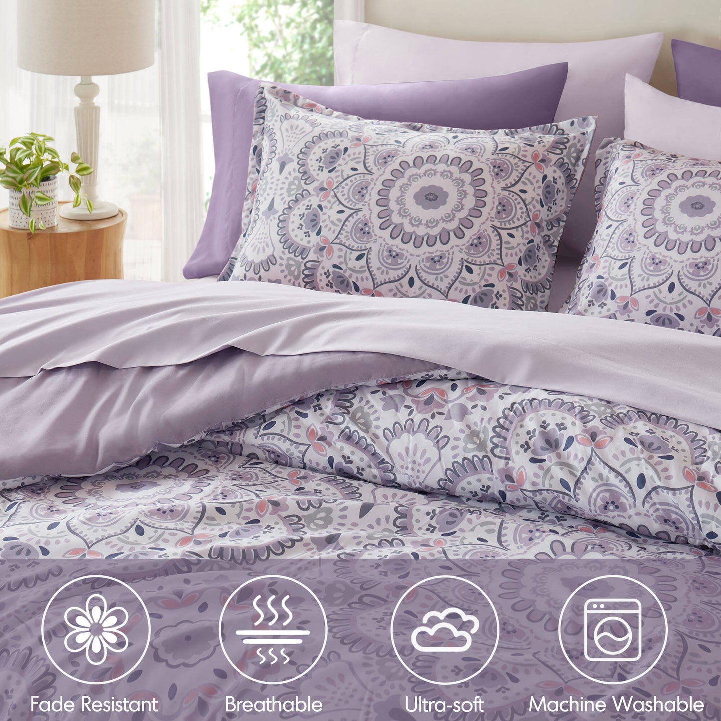 Faye Comforter with Sheet Set