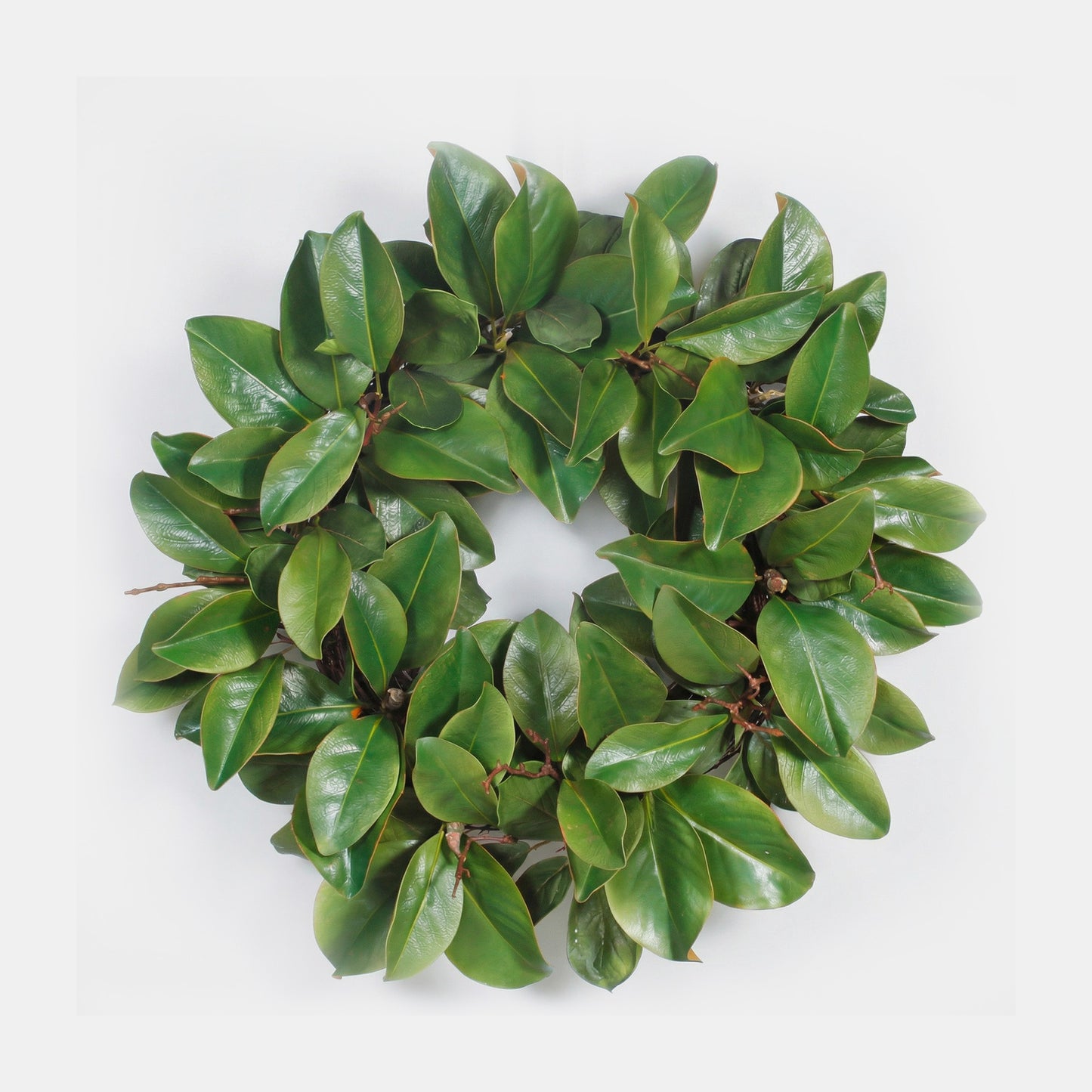 24-Inch Faux Magnolia Leaf & Twig Wreath – Realistic Greenery Wall & Door Decor