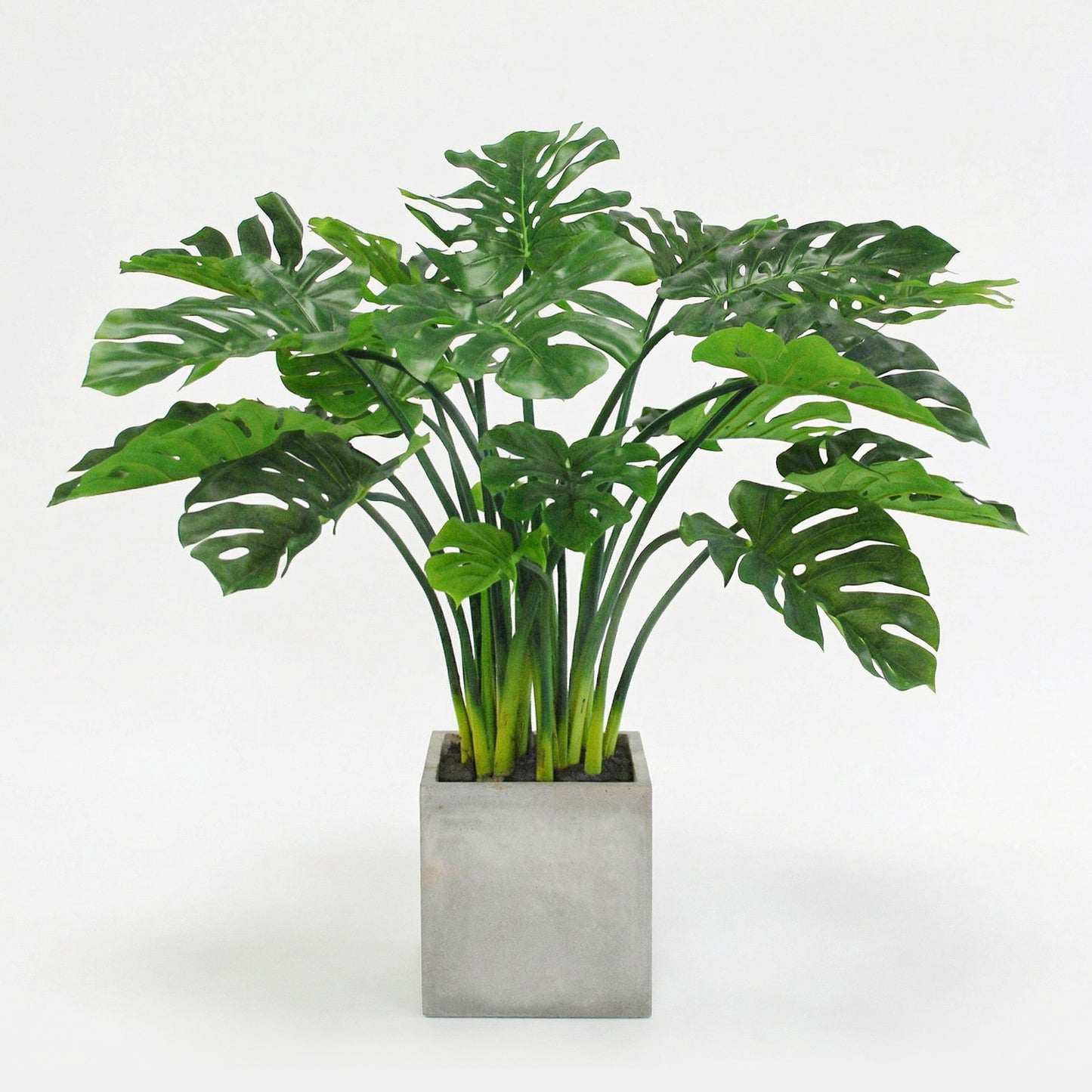 3.7-Foot Faux Split Leaf Philodendron in Taupe Planter – Large Tropical Floor Plant