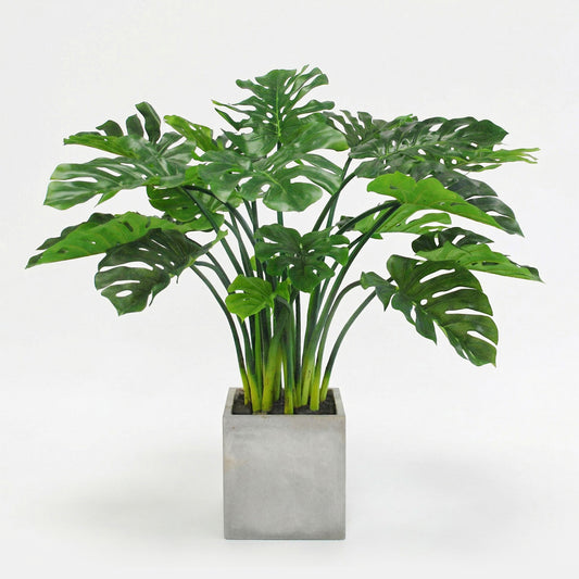 3.7-Foot Faux Split Leaf Philodendron in Taupe Planter – Large Tropical Floor Plant