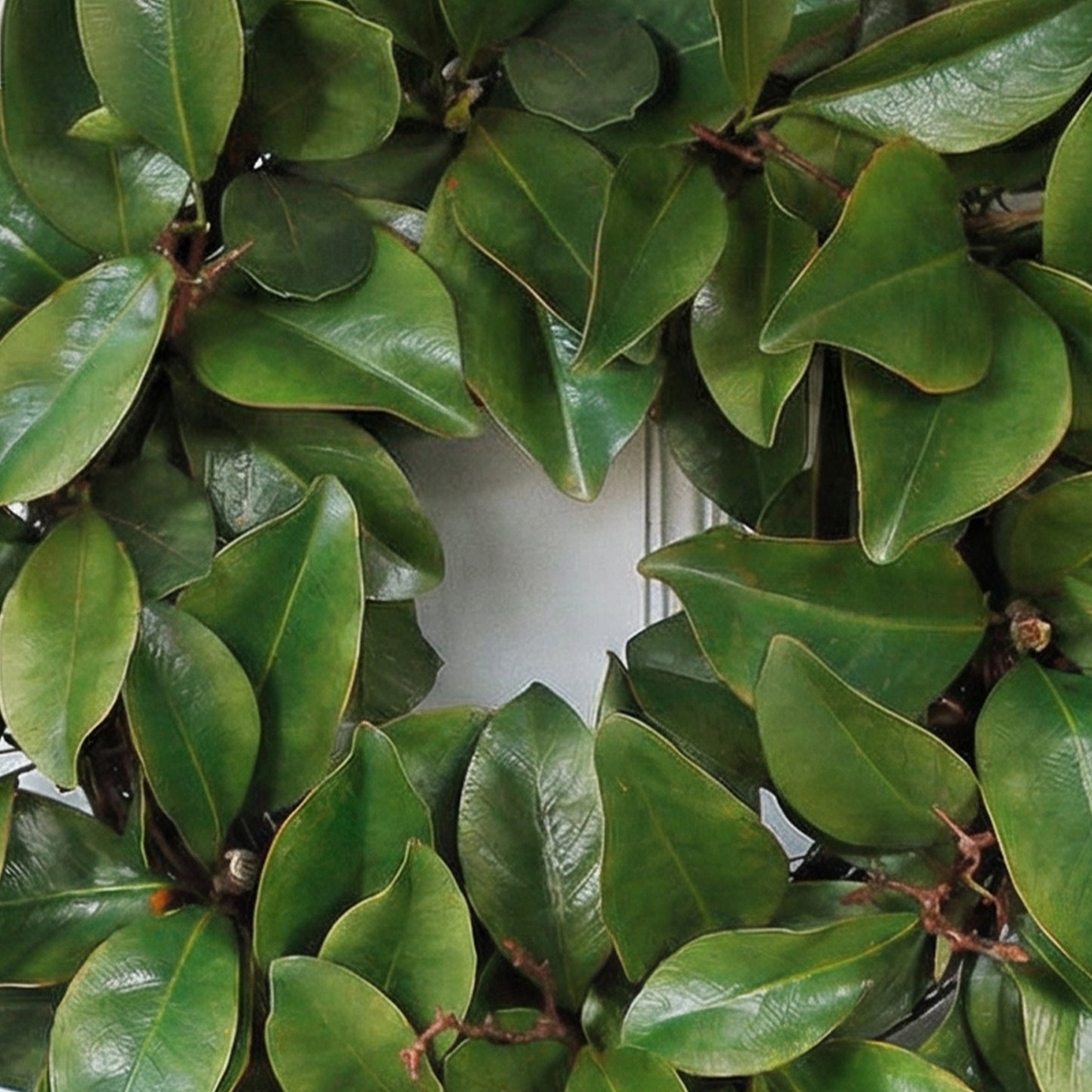 24-Inch Faux Magnolia Leaf & Twig Wreath – Realistic Greenery Wall & Door Decor