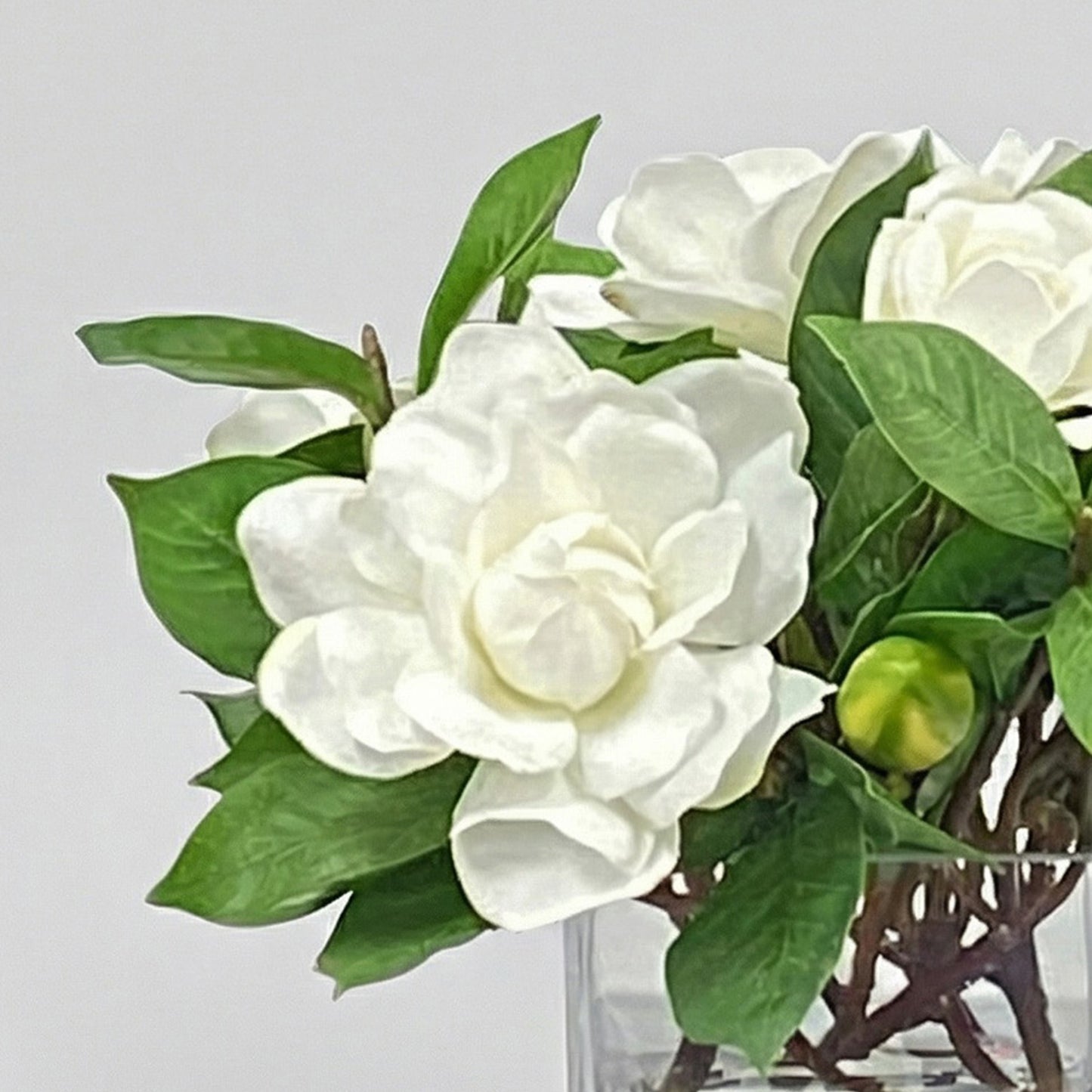 10-Inch Faux Gardenia Jubilation Arrangement in Glass Cube – Cream Silk Flowers