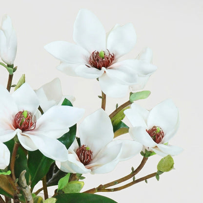 15-Inch Faux Magnolia & Foliage Arrangement in Glass Cube – White & Green