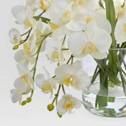 13-Inch Faux Cascading Phalaenopsis Orchid in Glass Cylinder – White