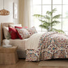 Faye Comforter with Sheet Set