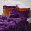 Intelligent Design Velvet Comforter Set with Throw Pillow