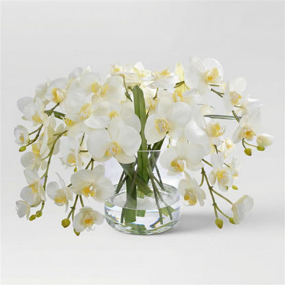 13-Inch Faux Cascading Phalaenopsis Orchid in Glass Cylinder – White